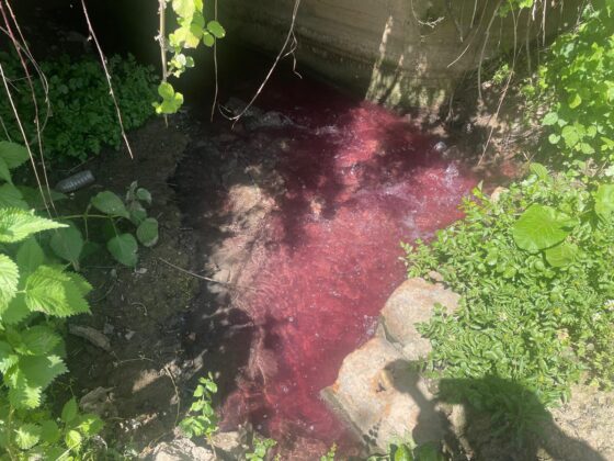 Gedelek Deresi tepkisi!