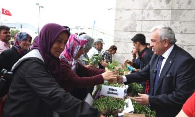 Nilüfer’de 300 bini aşkın fide vatandaşlarla buluşuyor