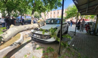 Bursa’da çınar ağacından kopan dal hasara yol açtı