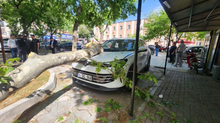 Bursa’da çınar ağacından kopan dal hasara yol açtı