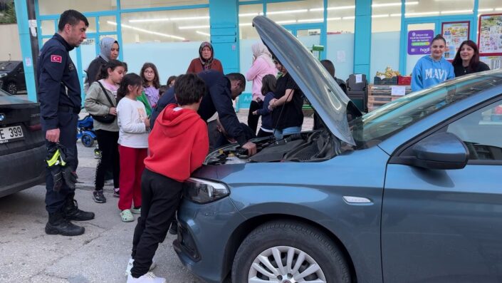 Bursa’da kedi seferberliği
