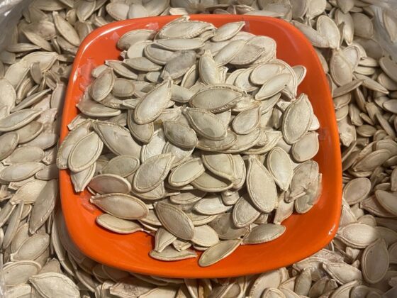 Gıda Mühendisi’nden Salmonella ve Bacillus cereus açıklaması