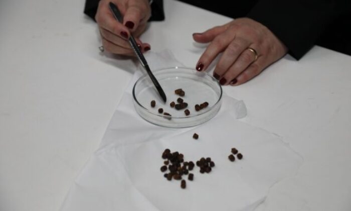 BTÜ’ye uluslararası patent