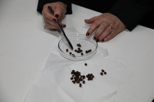 BTÜ’ye uluslararası patent