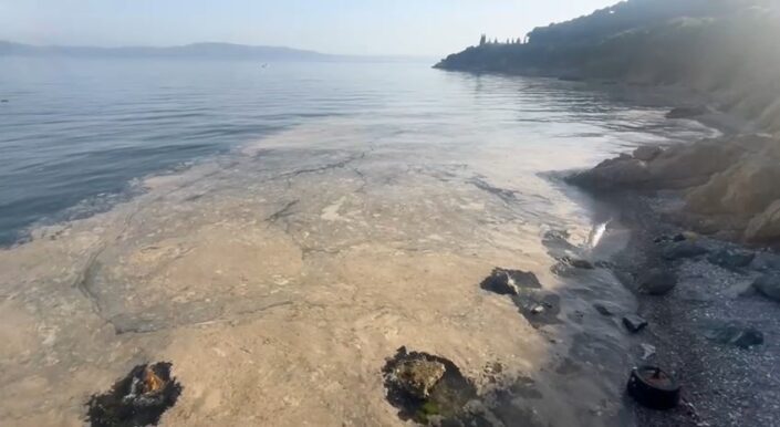 Gemlik’te müsilaj tedirginlik yaratıyor