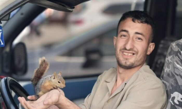İyileştirdiği sincap peşini bırakmadı