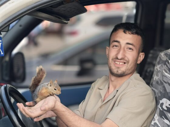 İyileştirdiği sincap peşini bırakmadı