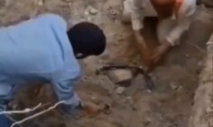 Bursa’da ölen köpeklerinin mezarını kazdılar!