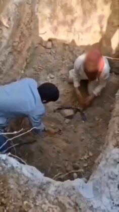 Bursa’da ölen köpeklerinin mezarını kazdılar!