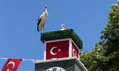 Can ve Canan yuvalarına kavuştu