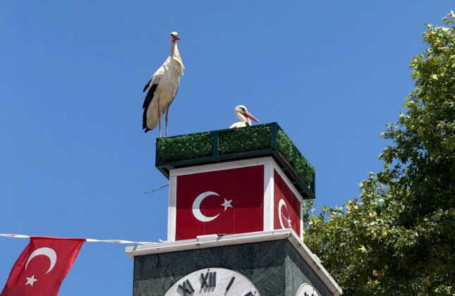 Can ve Canan yuvalarına kavuştu