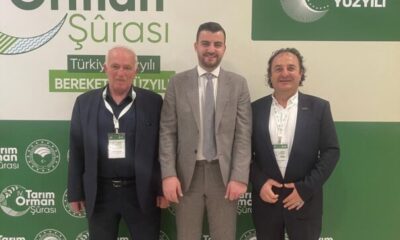 Ahşap palet sektöründen 18. madde çağrısı