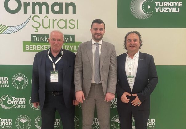 Ahşap palet sektöründen 18. madde çağrısı