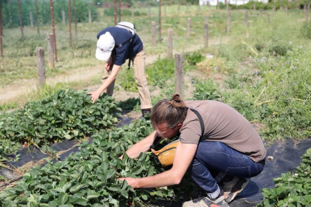Nilüfer’in sağlıklı gıda politikalarına Fransa’dan inceleme