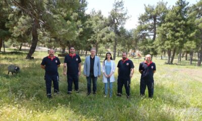 Gürsu’da kurban timi