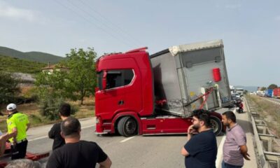 Seyir halindeki sürücüyü arı soktu!