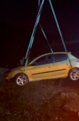 Köpeğe çarpmamak için manevra yapınca şarampole uçtu