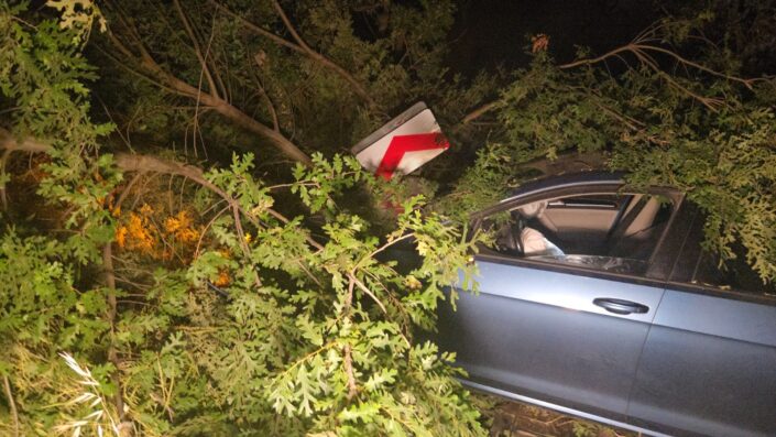 Kontrolden çıkan otomobil tarlaya uçtu