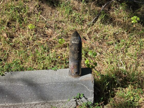 İznik Gölü sahilinde patlamamış top mermisi bulundu