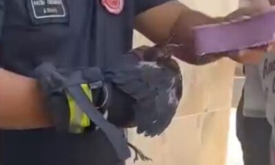 Bursa’da yürekleri ısıtan kurtarma