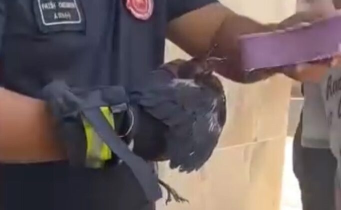 Bursa’da yürekleri ısıtan kurtarma