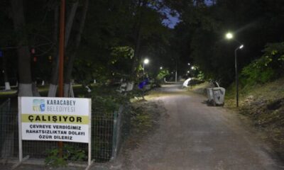 Yeniköy Piknik Alanı ışıklandırıldı
