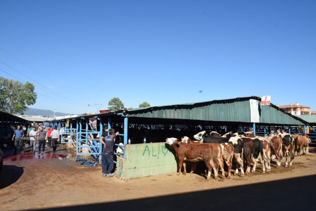 Yıldırım Kurban Bayramına hazır