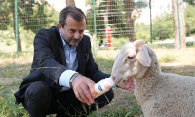 Gürsu’da ‘Butik Hayvanat Bahçesi’ projesinde sona gelindi