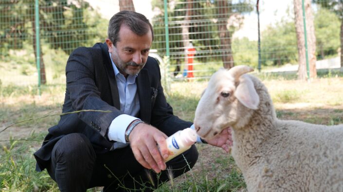 Gürsu’da ‘Butik Hayvanat Bahçesi’ projesinde sona gelindi