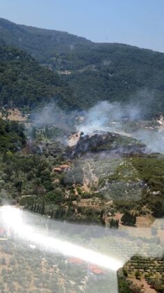 İzmir’de orman yangını