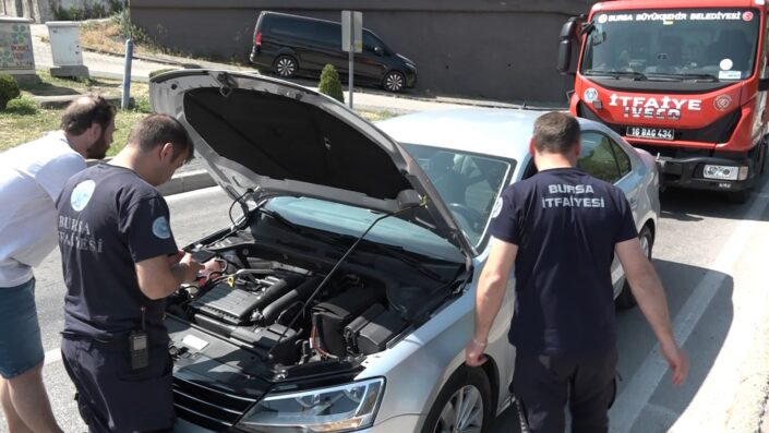 Bursa’da yavru kedi trafiği