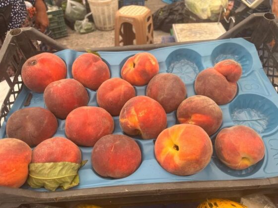 Bursa şeftalisi bu yaz cepleri yakacak!