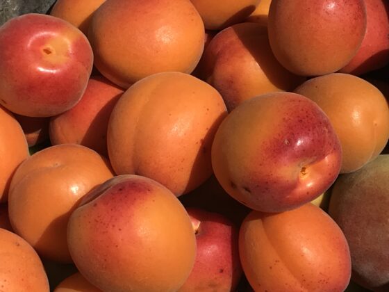 Tazesi 100 kurusu bin lira!