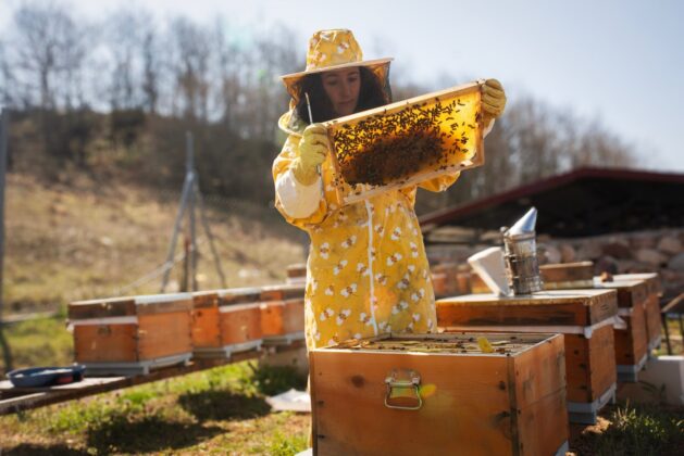 İznik’ten uluslararası arenada ses getiren başarı