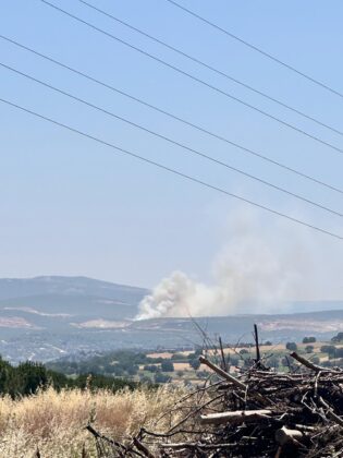 Bursa’da orman yangını!