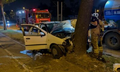 Direksiyon hakimiyetini kaybetti, ağaca çarptı