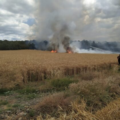 Buğday tarlası küle döndü!