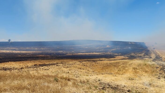 10 bin dönümlük arazide yangın çıktı