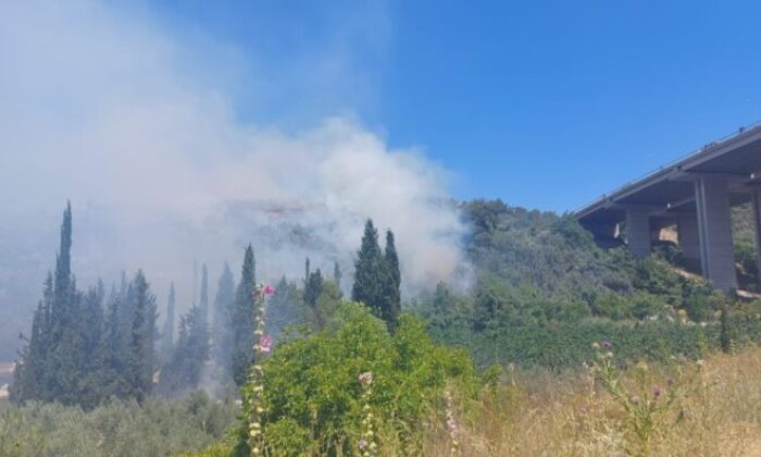 Bursa’da orman yangını!