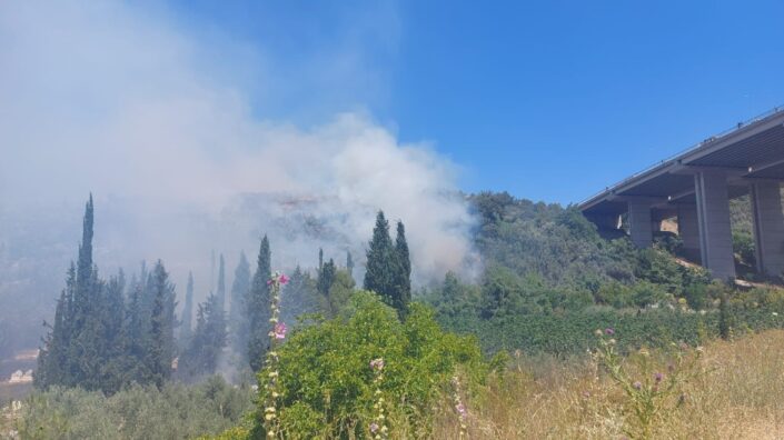 Bursa’da orman yangını!