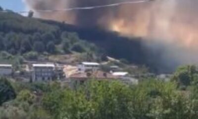 Bursa Büyükşehir’den yangına dair açıklama