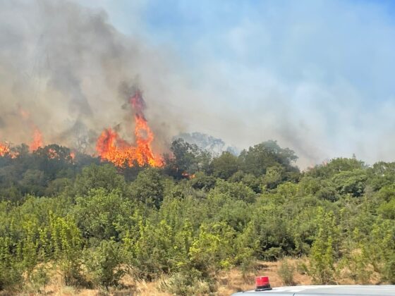 Bursa’da orman yangınlarının ardı arkası kesilmiyor!