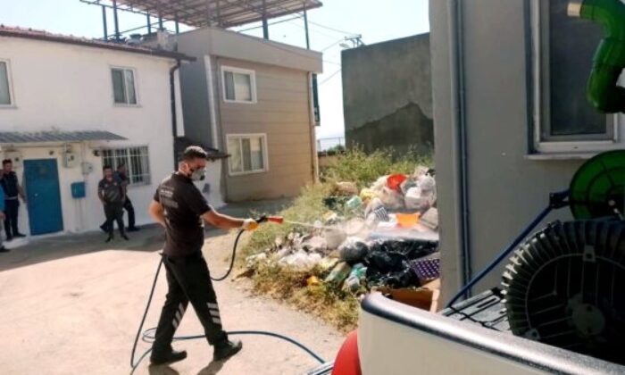 Çöp ev mahalleyi canından bezdirdi