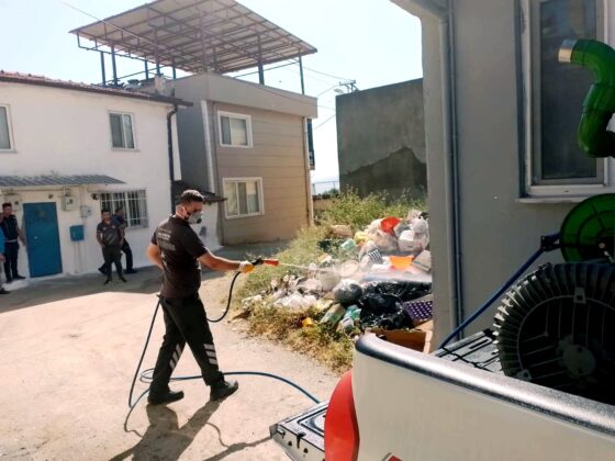 Çöp ev mahalleyi canından bezdirdi