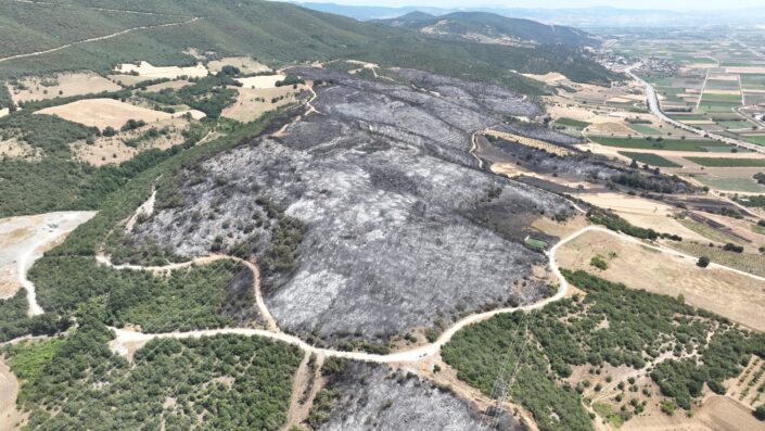 Yenişehir’deki yangında 500 futbol sahası büyüklükte alan kül oldu