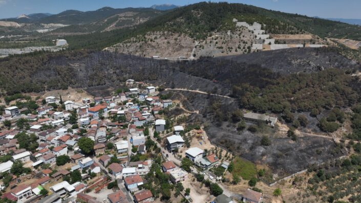 Bursa’nın zümrüt yeşili ormanları küle döndü