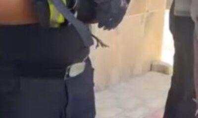 Bursa’da yürekleri ısıtan kurtarma