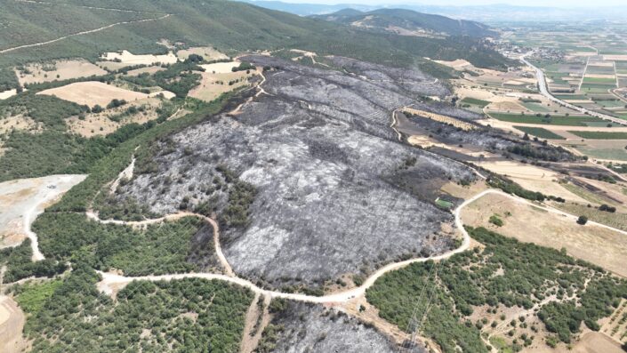 Bursa’daki yangınlarda 65 hektarlık alan küle döndü