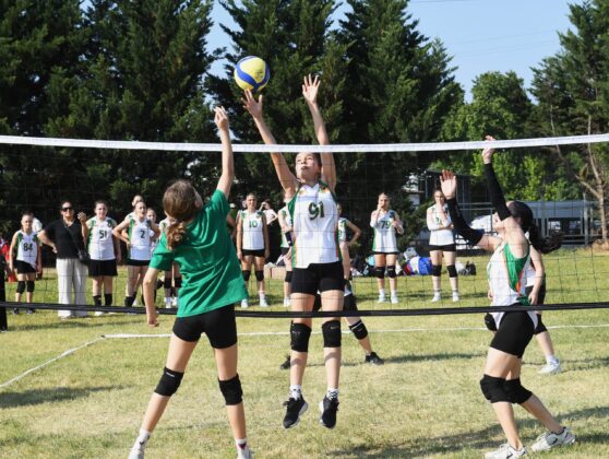 Genç voleybolcuların kalbi Osmangazi’de attı