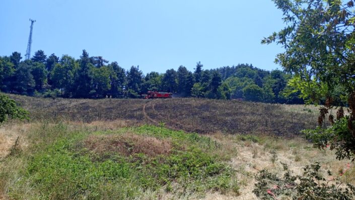 25 dönümlük alan küle döndü